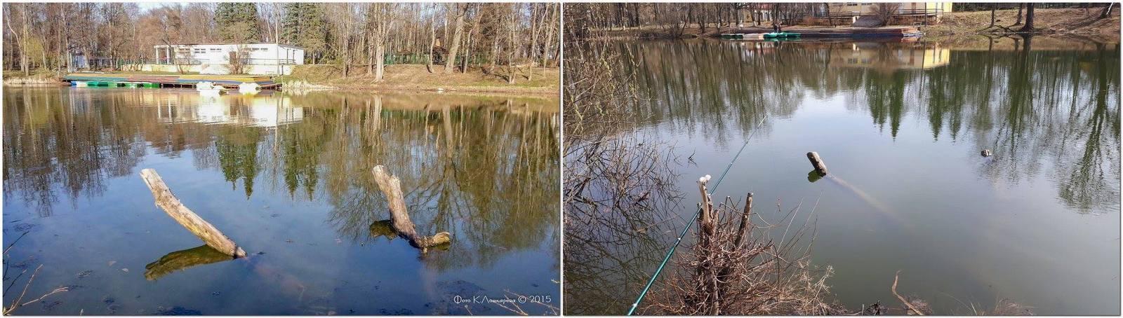 По этим фото хорошо видна разница в уровне воды в ершовском пруду в апреле 2015 и апреле 2017