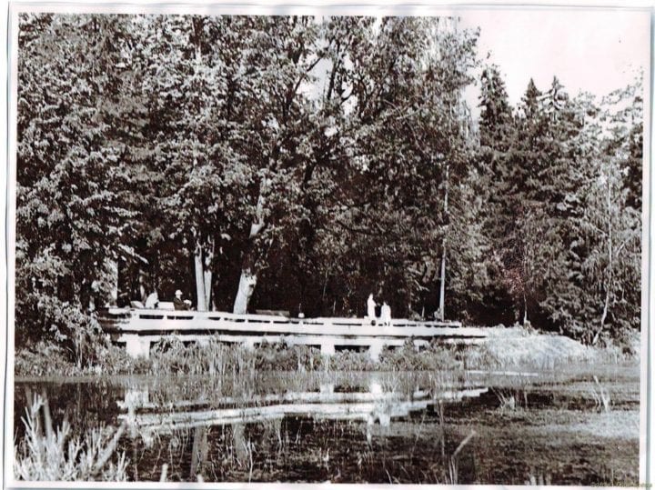 Тавлинский пруд в 1970-х. Вид на зону отдыха с юго-западного угла.